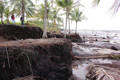 Penanganan Abrasi Belum Maksimal, Pemkab Bengkalis, Meranti dan Gubri Rakor ke Menko Maritim